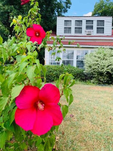 Gran’s Guest House Gran’s Guest House