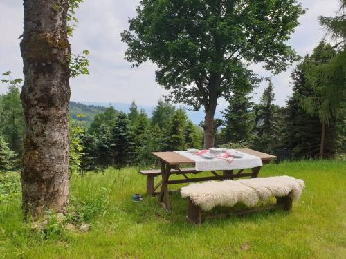 Five maple home for families and wild nature lovers