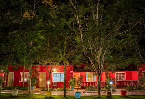 Dandeli Wild Jungle Resort