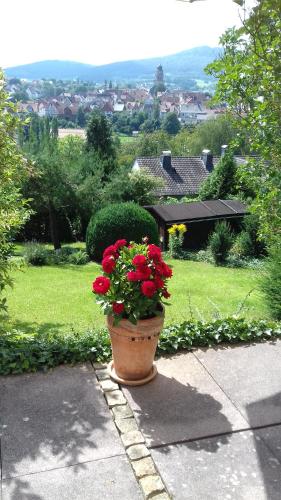 Sonnenhang in Zierenberg
