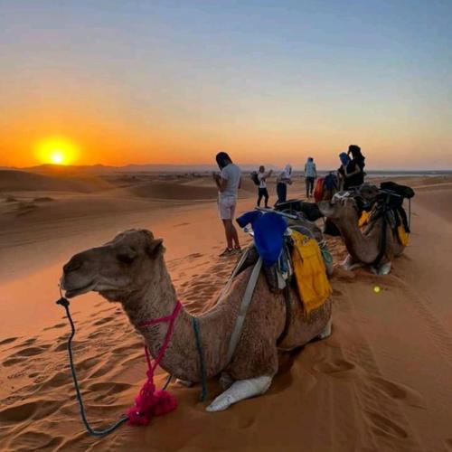 Unique sahara camp