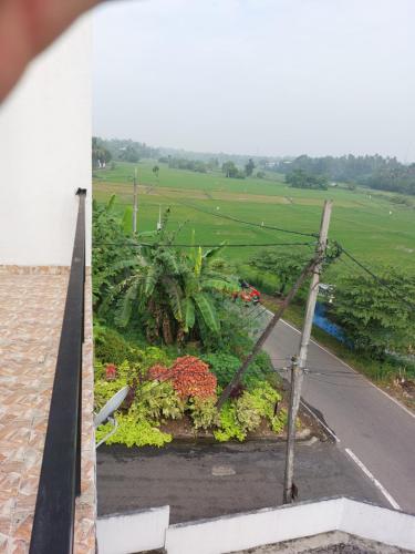 2BR Cozy Furnished Apartment facing Paddy Fields