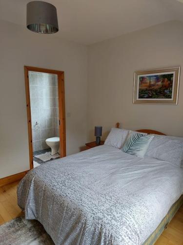Home in Ennis, Ennis (fotografie 9)