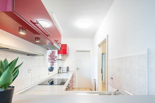 Two bedrooms apartment with free garage in the downtown - image 14