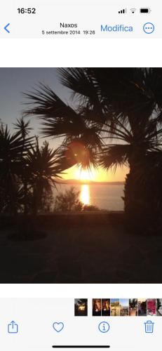 Ines’s Dream Ines’s Dream