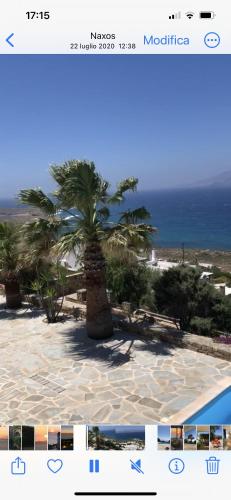 Ines’s Dream Ines’s Dream