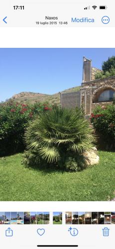 Ines’s Dream Ines’s Dream