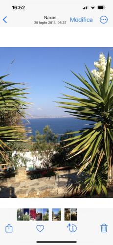 Ines’s Dream Ines’s Dream