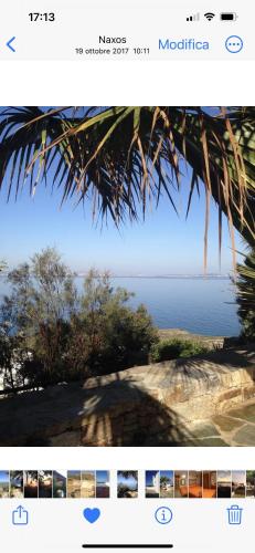 Ines’s Dream Ines’s Dream