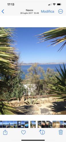 Ines’s Dream Ines’s Dream