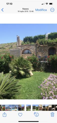 Ines’s Dream Ines’s Dream