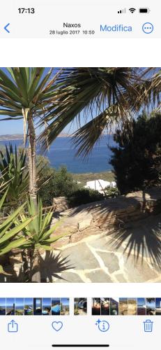 Ines’s Dream Ines’s Dream