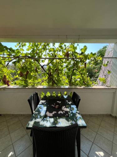 One-Bedroom Apartment image 4