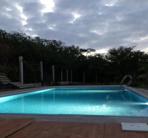 Casa Palmeira photo 3