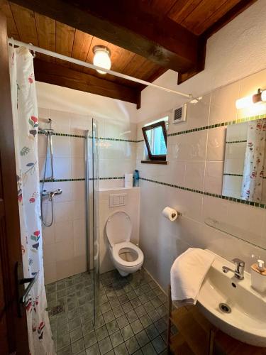 Studený pramen - image 11