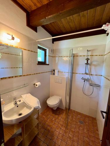 Studený pramen - image 6