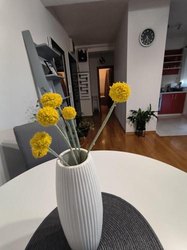 Apartman Jurak