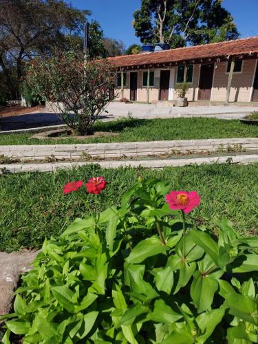 Pousada Cachoeira do Campo