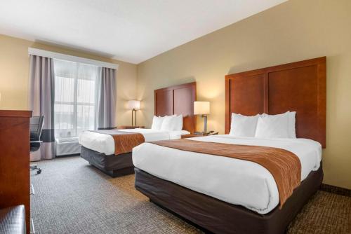 Comfort Inn & Suites Mobile near Eastern Shore Centre - image 10