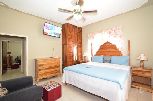 Cozy Locale - Gold in Drapers