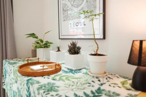 Starria Hostel Foreign Guest Only - Tap to explore photos