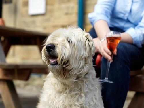 Devonshire Arms at Pilsley - Chatsworth - image 10