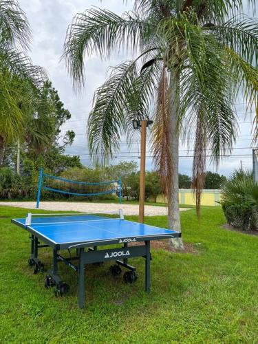 Disney - 3bd, 2ba - The Royal Bay Dream in Kissimmee, USA