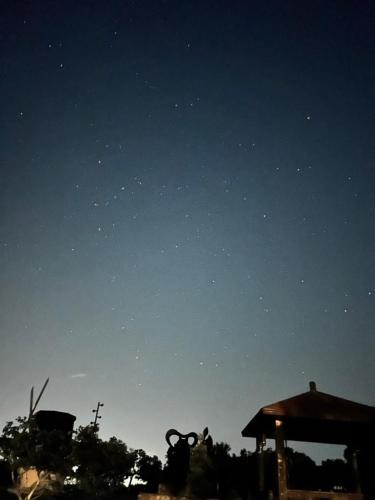 Touching Camping - image 4