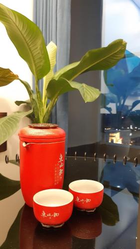Sunset Apartment in Hai Phong, Haiphong (Foto 5)