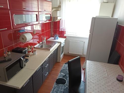 Apartament Magic Petroșani, Petrosani (fotografie 9)