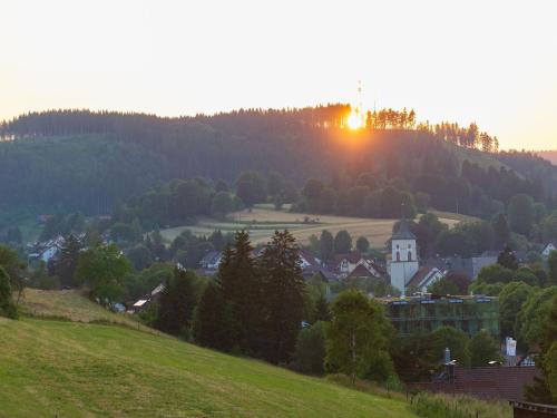 Wälderliebe - Apartment - Lenzkirch