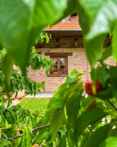 Kuća za odmor Zagorka