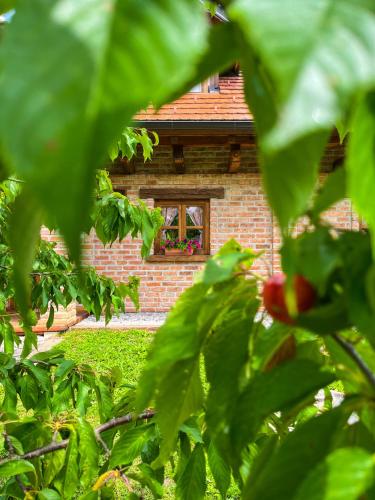 Kuća za odmor Zagorka