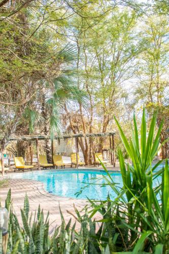 Piscina, Nata Lodge in Nata