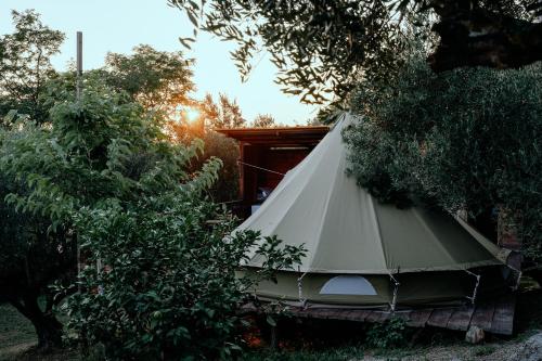 Tent