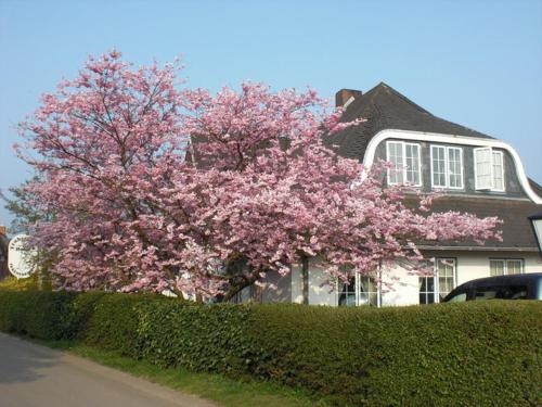 Hotel Ekke Nekkepenn - image 7