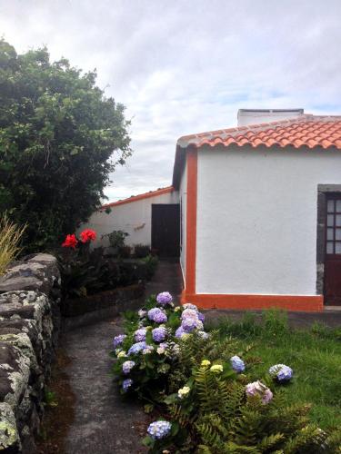  Casa Via d'Agua in Faja Grande