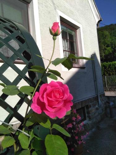 Aed, Zuhause am Bach - Wachau in Aggsbach Markt