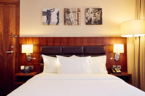 Hilton Garden Inn Rzeszow Room Type - Queen Room