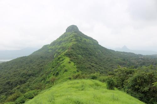 Shinde's Tikona Valley Farm