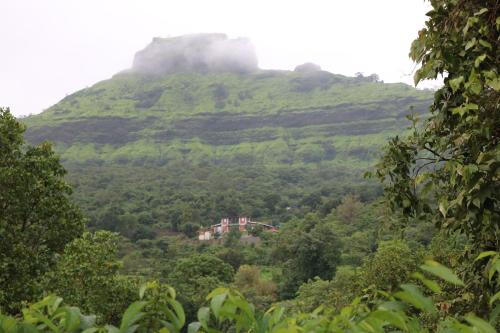 Shinde's Tikona Valley Farm