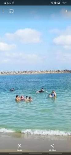 شقق العجمي 2
