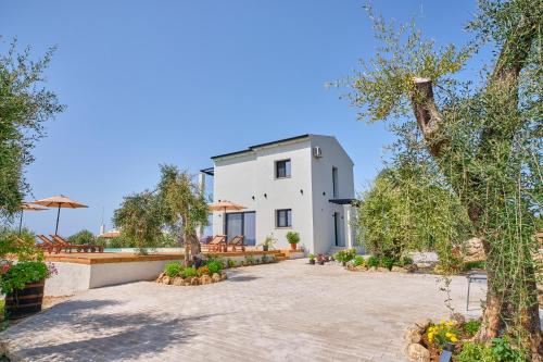 Olive grove villa