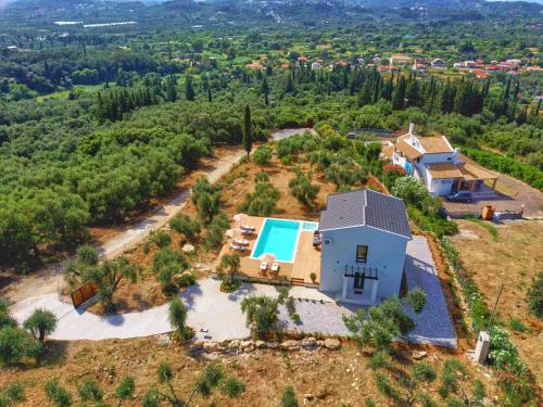 Olive grove villa