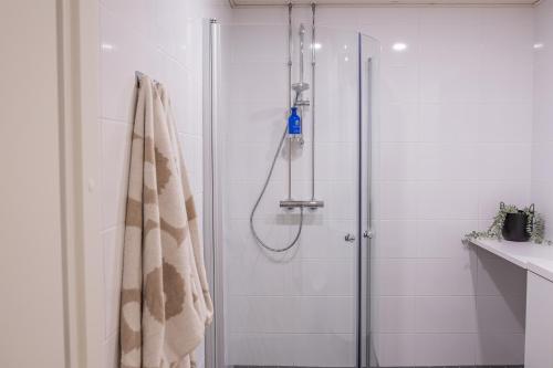 Snowflake Suites I in 卢瓦聂米
