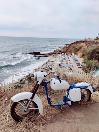 ЛЕСО-Зара студио, Rawda (Foto 5)