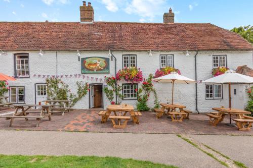 Tiger Inn - Catherine - image 9