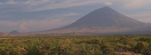 Africa Safari Lake Natron