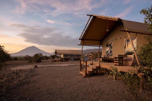 Africa Safari Lake Natron