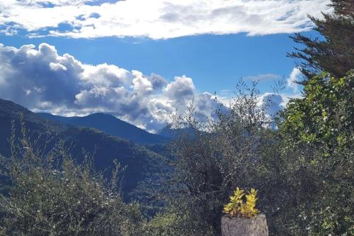 A Casinca: Maison 3 chambres dans un écrin de nature ...